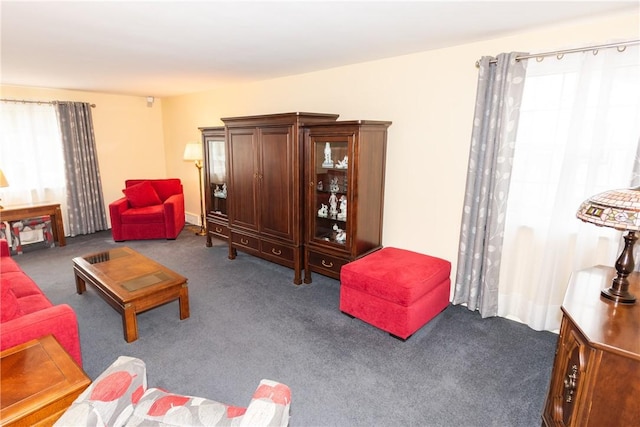 living area featuring carpet flooring