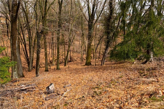 view of landscape