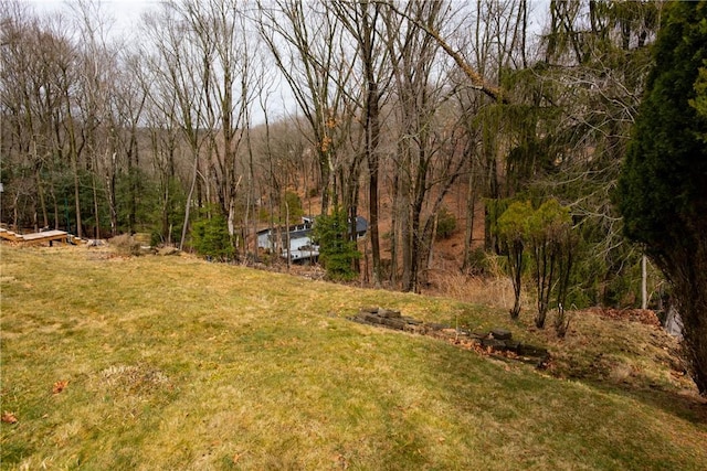 view of yard featuring a forest view