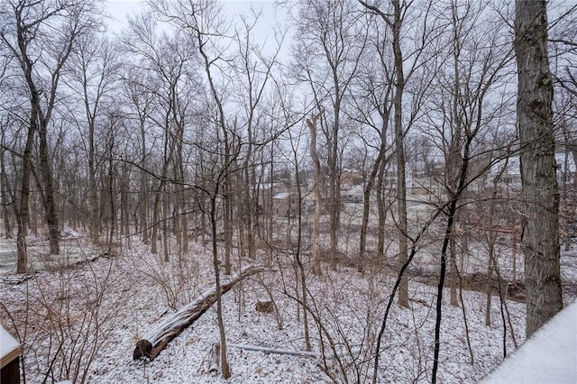 view of snowy landscape