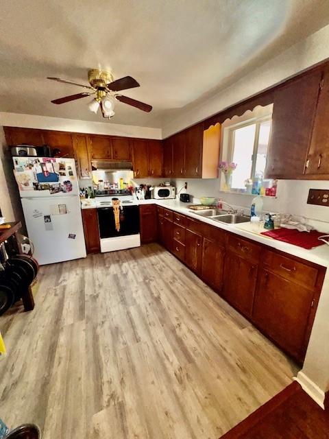 kitchen with white appliances, light wood-style floors, light countertops, and a sink