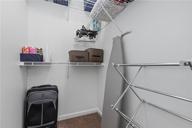 spacious closet featuring carpet floors