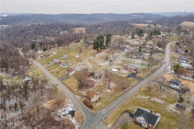 birds eye view of property featuring a forest view