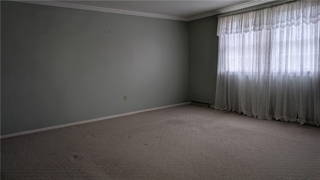 spare room featuring carpet flooring, crown molding, and baseboards