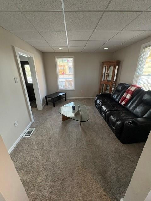 carpeted living room with visible vents, a drop ceiling, and baseboards