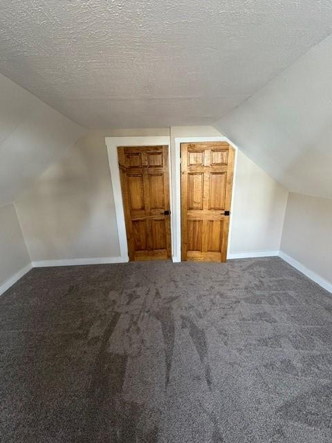 additional living space with lofted ceiling, carpet floors, a textured ceiling, and baseboards