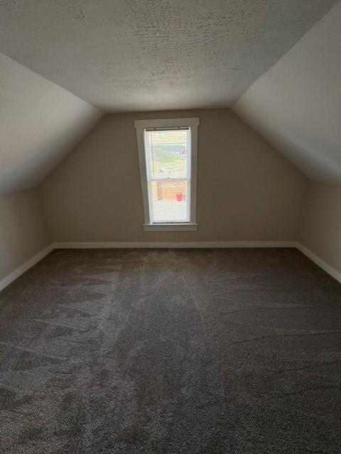 additional living space featuring carpet, vaulted ceiling, a textured ceiling, and baseboards