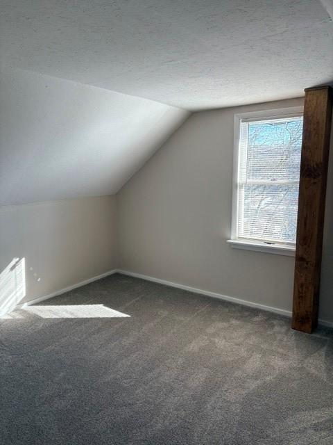 additional living space featuring baseboards, vaulted ceiling, a textured ceiling, and carpet flooring