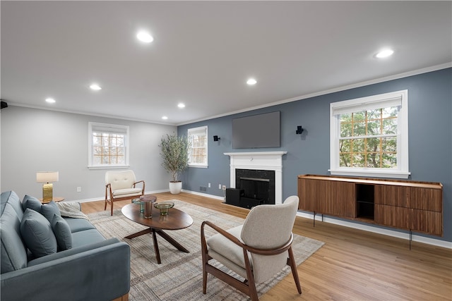 living room featuring ornamental molding, a premium fireplace, light wood-type flooring, and baseboards