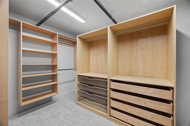 walk in closet featuring carpet floors