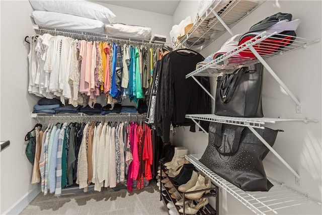 walk in closet featuring carpet floors