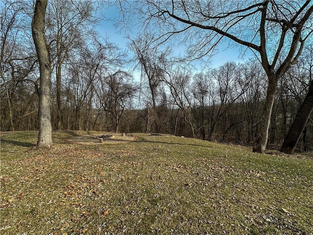 view of local wilderness with a wooded view