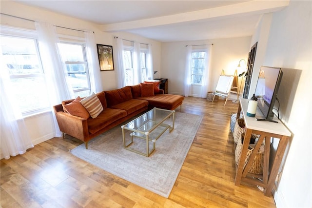 living room with light wood finished floors and baseboards