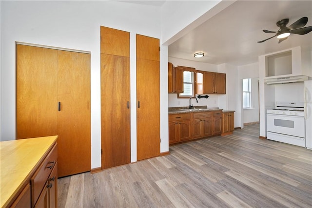 kitchen with light wood finished floors, brown cabinetry, a sink, white appliances, and under cabinet range hood