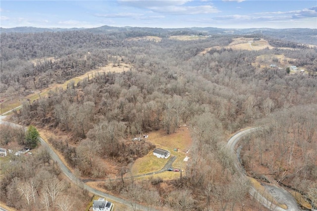 birds eye view of property featuring a mountain view and a wooded view