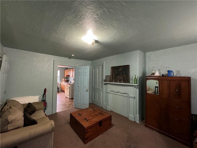 living area featuring light colored carpet, a textured wall, and a textured ceiling