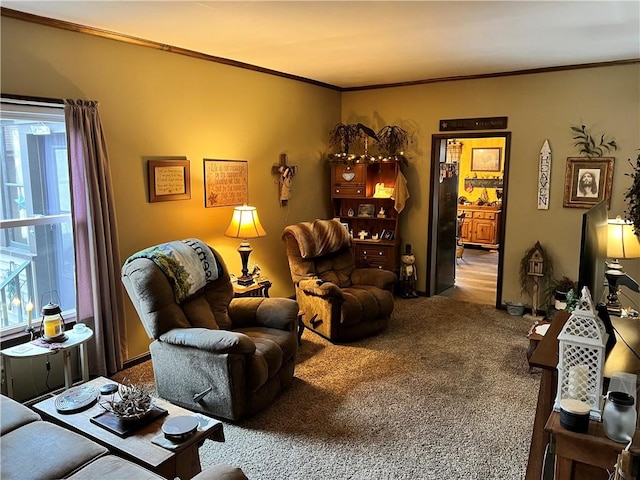 carpeted living area featuring ornamental molding