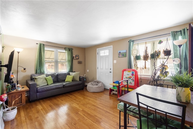 living room with plenty of natural light and light wood-style flooring