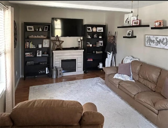 living area featuring a fireplace and wood finished floors