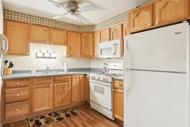 kitchen featuring wood finished floors, white appliances, a sink, and a ceiling fan