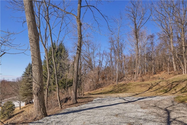 view of road featuring a forest view