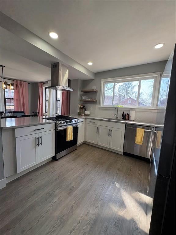 kitchen featuring light wood-style flooring, a sink, ventilation hood, appliances with stainless steel finishes, and white cabinets