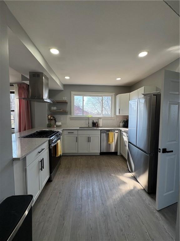 kitchen featuring island exhaust hood, a sink, wood finished floors, stainless steel appliances, and decorative backsplash