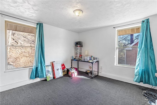 miscellaneous room with carpet floors, baseboards, and a textured ceiling