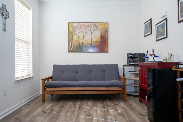 living area with baseboards, a wealth of natural light, and wood finished floors