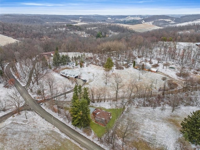 view of snowy aerial view