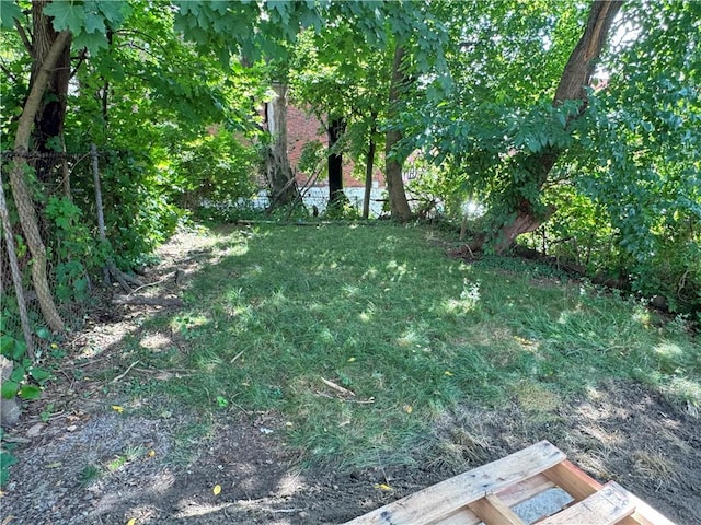 5620 Stanton Ave, East Liberty, PA 15206 - view of nature