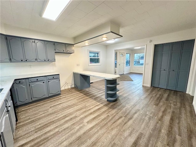 kitchen with light countertops, gray cabinets, and wood finished floors