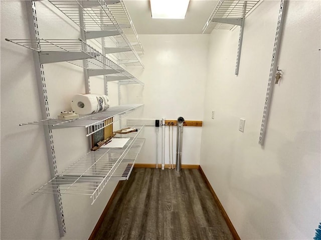 walk in closet with wood finished floors