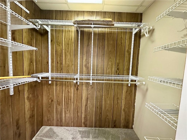 spacious closet featuring a paneled ceiling