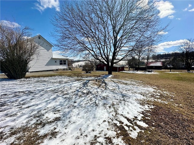 view of yard covered in snow