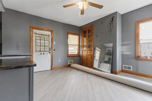 interior space featuring a wealth of natural light, light wood finished floors, and visible vents