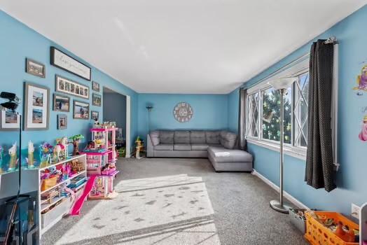 playroom with carpet floors