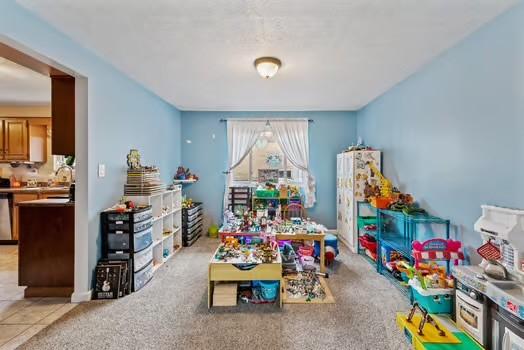 playroom with light carpet and a sink