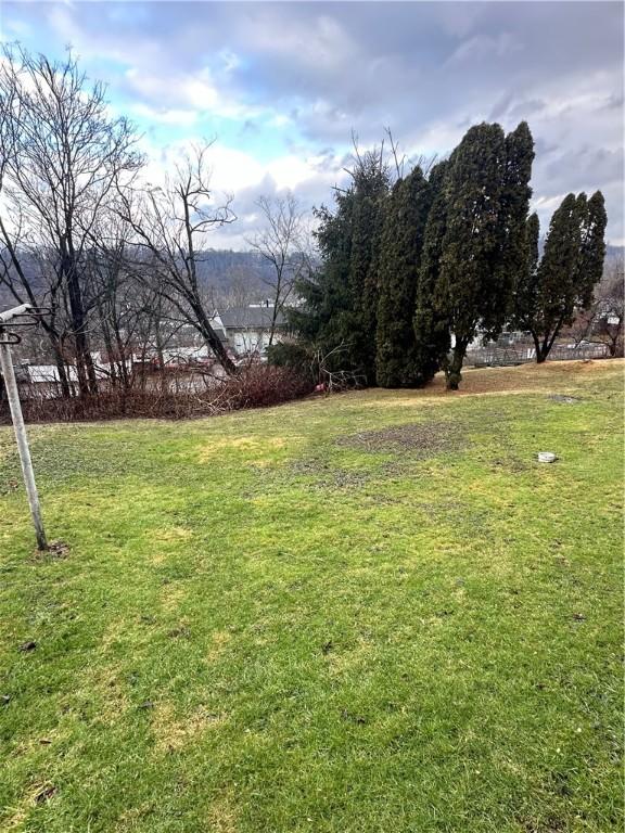 view of green lawn