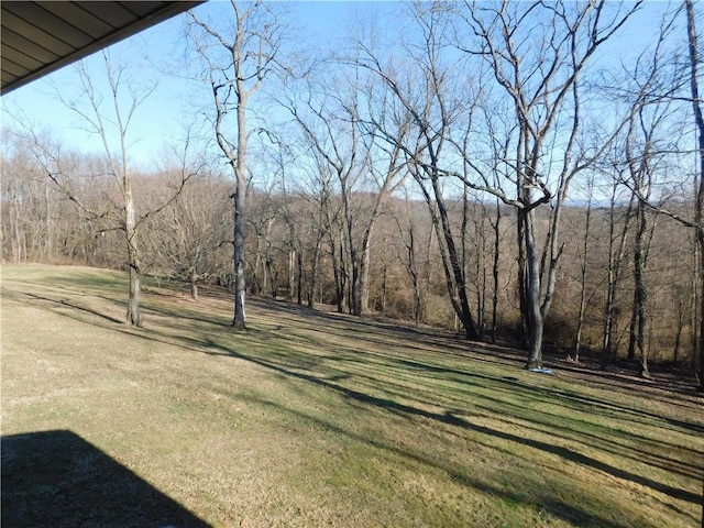 view of yard featuring a forest view