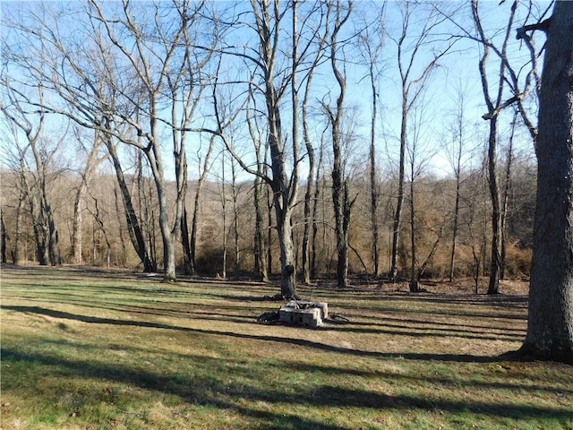 view of property's community featuring a lawn and a forest view