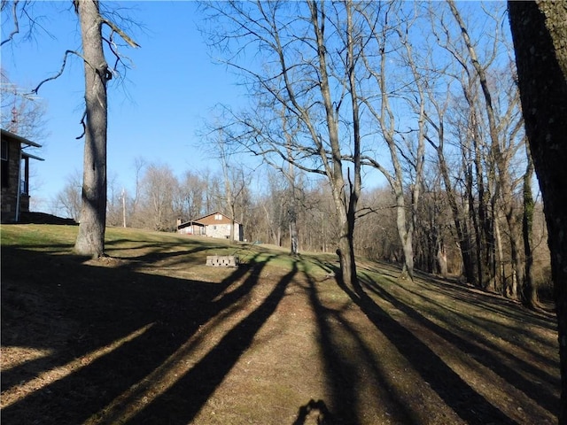 view of road featuring driveway