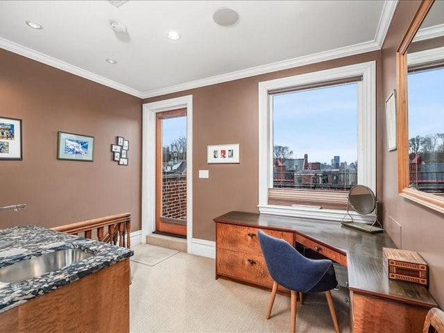 office with a healthy amount of sunlight, crown molding, and a sink