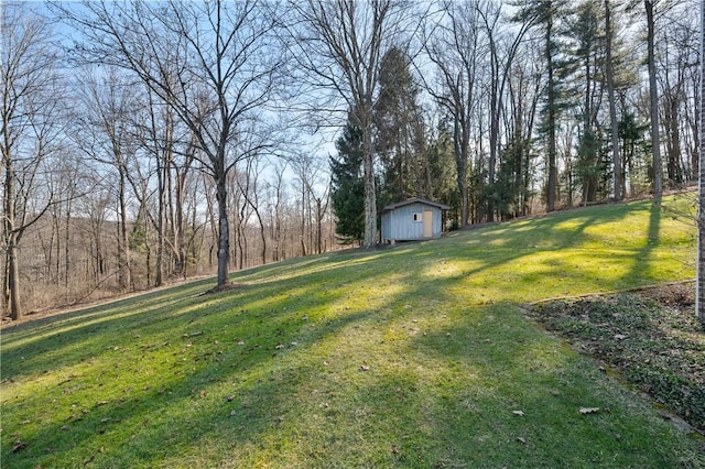 view of yard with a shed and an outdoor structure