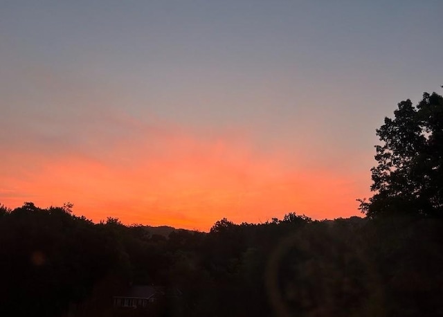 view of nature at dusk