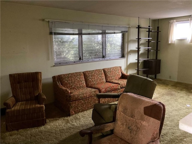 view of carpeted living area