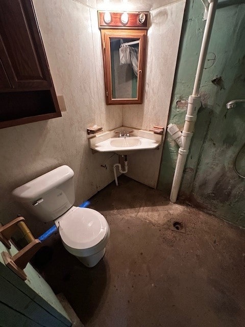 bathroom featuring a shower stall, toilet, and a sink