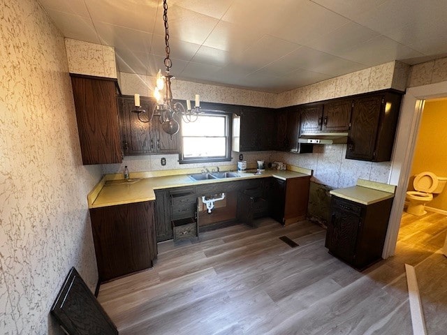 kitchen with light wood finished floors, a sink, under cabinet range hood, light countertops, and dark brown cabinets