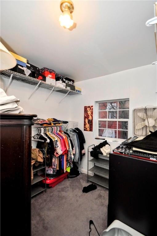 spacious closet featuring carpet