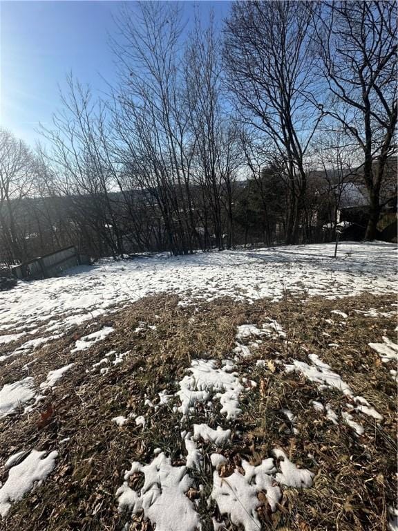 view of yard covered in snow